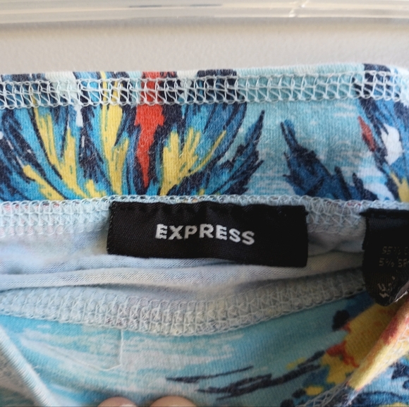 Express - Picture 5 of 6